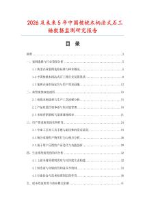 2026及未來5年中國核桃木柄法式石工錘數據監測研究報告