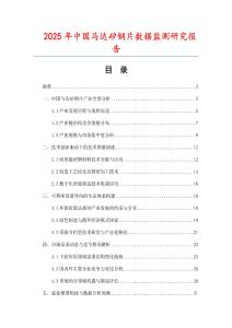 2025年中國馬達矽鋼片數據監測研究報告