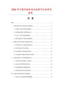 2026年中國開瓶針項目投資可行性研究報告