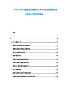 2025-2030提升社會治理現代化水平加強基層基礎工作全面深入分析通告實施