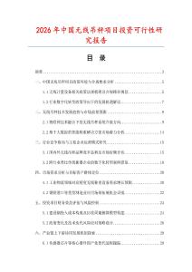 2026年中國無線吊秤項目投資可行性研究報告