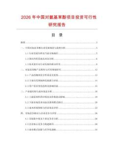 2026年中國對氨基苯酚項目投資可行性研究報告