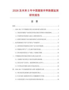 2026及未来5年中国服装吊带数据监测研究报告