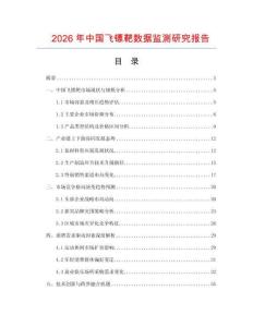 2026年中國飛鏢靶數據監測研究報告