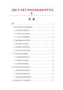 2026年中国手用钢丝刷数据监测研究报告