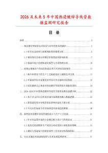 2026及未来5年中国热浸镀锌导线管数据监测研究报告
