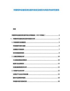 中國特種設(shè)備檢測儀器市場安全規(guī)范與風(fēng)險評估研究報告