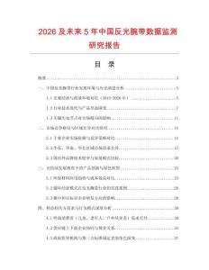 2026及未来5年中国反光腕带数据监测研究报告