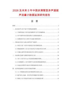 2026及未来5年中国非满管型多声道超声流量计数据监测研究报告