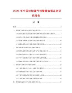 2025年中國輪胎漏氣報警器數據監測研究報告