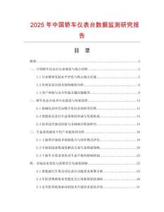 2025年中國轎車儀表臺數據監測研究報告