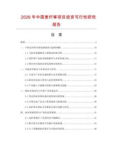 2026年中國麥桿箏項目投資可行性研究報告