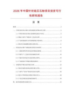 2026年中國針狀硅灰石粉項目投資可行性研究報告