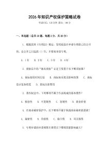 2026年知識產(chǎn)權(quán)保護(hù)策略試卷