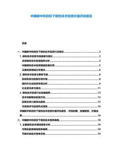 中國碳中和目標下綠色技術(shù)投資價值評估報告