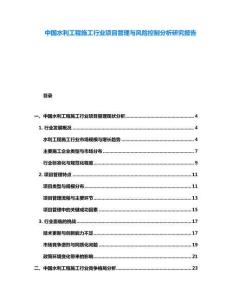 中國水利工程施工行業項目管理與風險控制分析研究報告