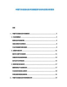中國汽車輕量化技術(shù)發(fā)展趨勢與材料應(yīng)用分析報告