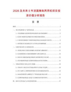 2026及未來5年涼面辣條兩用機項目投資價值分析報告