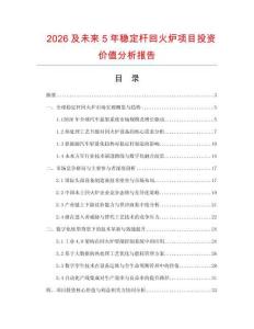 2026及未來5年穩(wěn)定桿回火爐項目投資價值分析報告