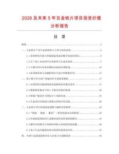 2026及未來5年五金鐵片項目投資價值分析報告