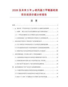2026及未來5年γ-巰丙基三甲氧基硅烷項(xiàng)目投資價(jià)值分析報(bào)告