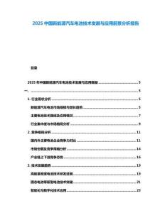 2025中國新能源汽車電池技術發展與應用前景分析報告