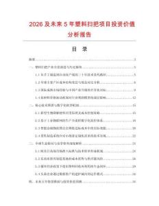 2026及未來(lái)5年塑料掃把項(xiàng)目投資價(jià)值分析報(bào)告