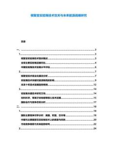核聚變實驗堆技術攻關與未來能源戰略研究
