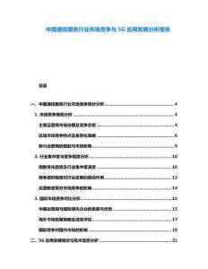 中國(guó)通信服務(wù)行業(yè)市場(chǎng)競(jìng)爭(zhēng)與5G應(yīng)用發(fā)展分析報(bào)告