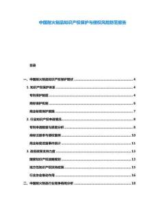 中國耐火制品知識產(chǎn)權(quán)保護與侵權(quán)風(fēng)險防范報告