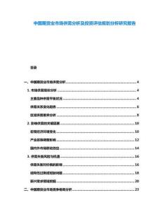 中國(guó)期貨業(yè)市場(chǎng)供需分析及投資評(píng)估規(guī)劃分析研究報(bào)告