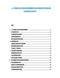 人工智能行業(yè)市場(chǎng)環(huán)境詳細(xì)解析及技術(shù)落腳方向與商業(yè)模式創(chuàng)新研究白皮書