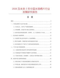 2026及未來5年中國水溶繡片行業(yè)發(fā)展研究報告