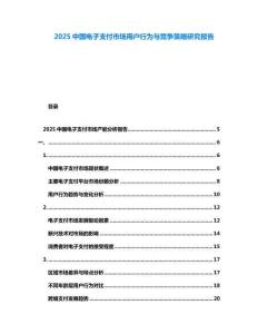 2025中國電子支付市場用戶行為與競爭策略研究報告