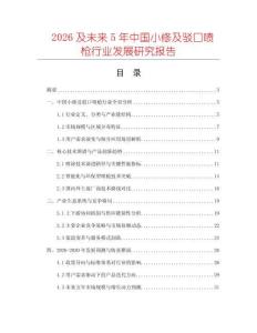 2026及未來5年中國小修及駁口噴槍行業發展研究報告
