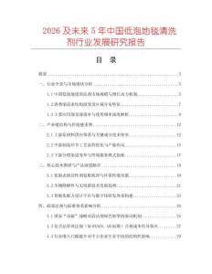 2026及未來5年中國低泡地毯清洗劑行業(yè)發(fā)展研究報告