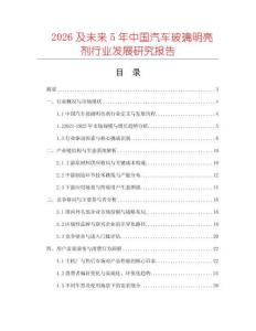 2026及未來(lái)5年中國(guó)汽車玻璃明亮劑行業(yè)發(fā)展研究報(bào)告