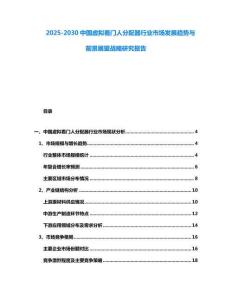 2025-2030中國虛擬看門人分配器行業(yè)市場發(fā)展趨勢與前景展望戰(zhàn)略研究報告