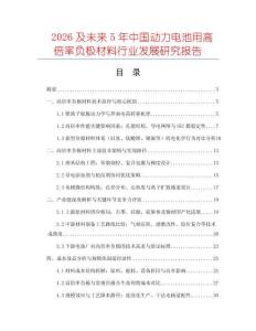 2026及未來5年中國動力電池用高倍率負極材料行業(yè)發(fā)展研究報告