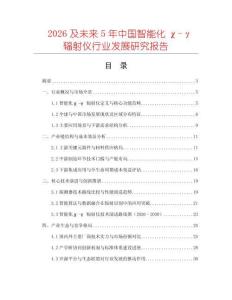2026及未來5年中國智能化χ-γ輻射儀行業(yè)發(fā)展研究報告