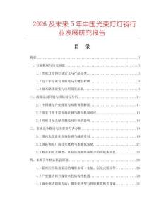 2026及未來5年中國光束燈燈鉤行業發展研究報告