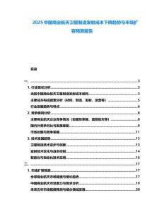 2025中國商業(yè)航天衛(wèi)星制造發(fā)射成本下降趨勢與市場擴容預(yù)測報告