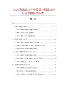 2026及未來5年中國銅絲刷波紋線行業發展研究報告