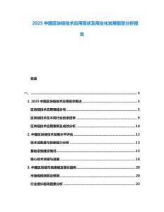 2025中國區塊鏈技術應用現狀及商業化發展前景分析報告