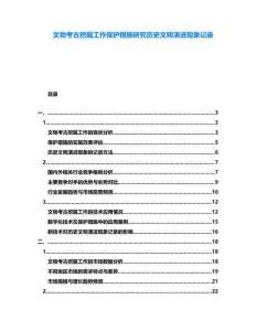 文物考古挖掘工作保護措施研究歷史文明演進現象記錄