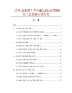 2026及未來5年中國亂碼分切銅版紙行業(yè)發(fā)展研究報告