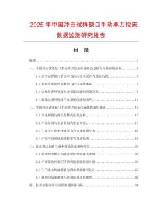 2025年中國(guó)沖擊試樣缺口手動(dòng)單刀拉床數(shù)據(jù)監(jiān)測(cè)研究報(bào)告