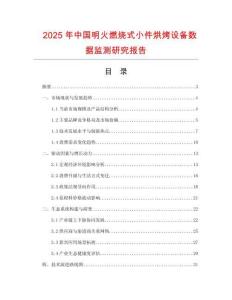 2025年中國明火燃燒式小件烘烤設備數據監測研究報告