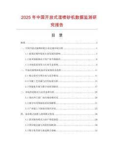 2025年中國開放式濕噴砂機數據監測研究報告