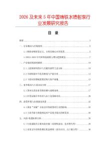 2026及未來5年中國鑄鐵水噴射泵行業發展研究報告